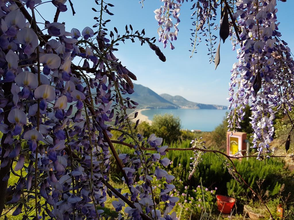 Sardus Pater Hotel Portixeddu